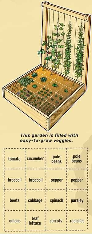 Simple Vegetable Growing Plot Idea