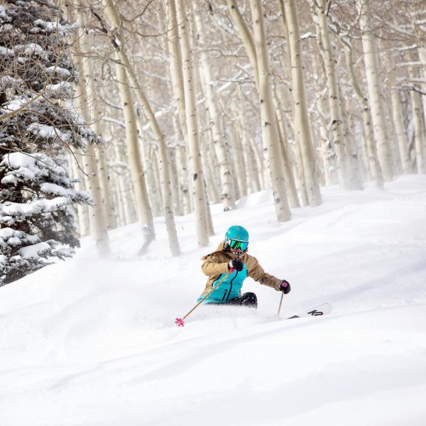 skiing, ski, ski pole, snow, tree,