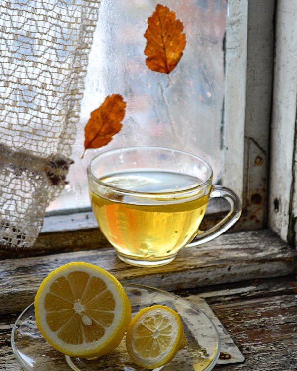 drink, grog, still life photography,