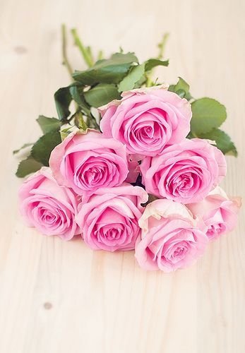 Pink Roses