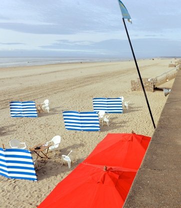 sand,wind,vehicle,flight,sea,