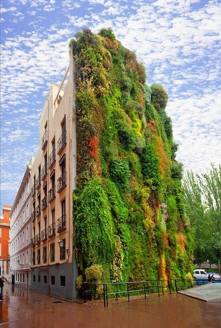 Living Wall, Caixa Forum