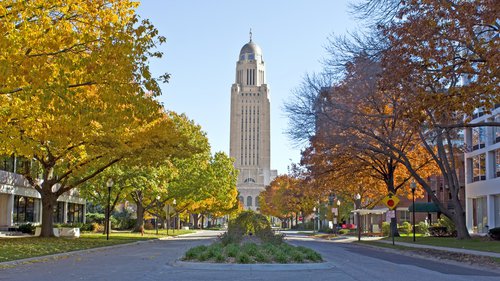 tree, plaza, city, building, neighbourhood,