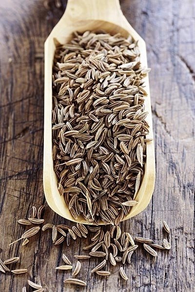 Fennel Seeds