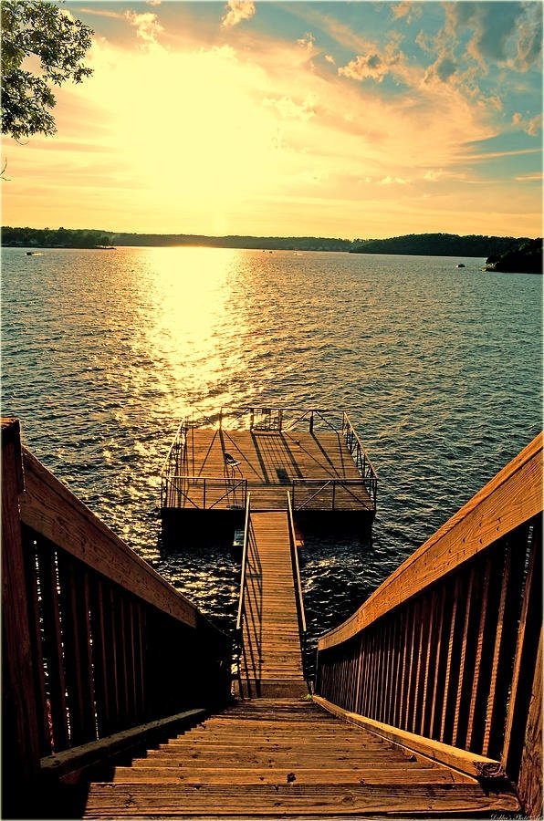 Dock