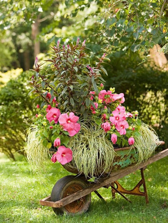 A Wheelbarrow