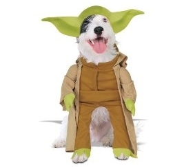 Yoda