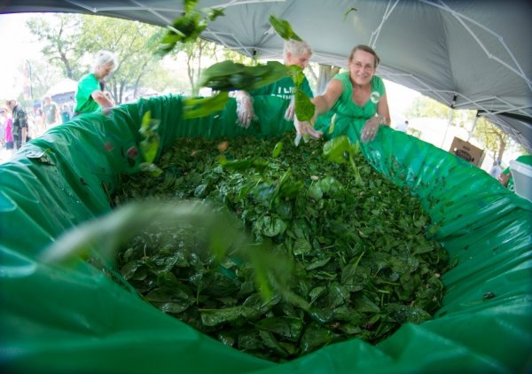 Spinach Festival