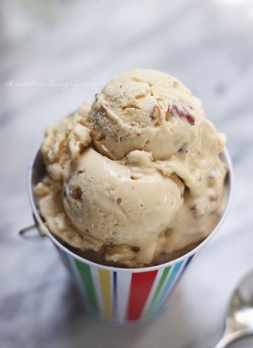 Low Carb Pecan Praline Ice Cream
