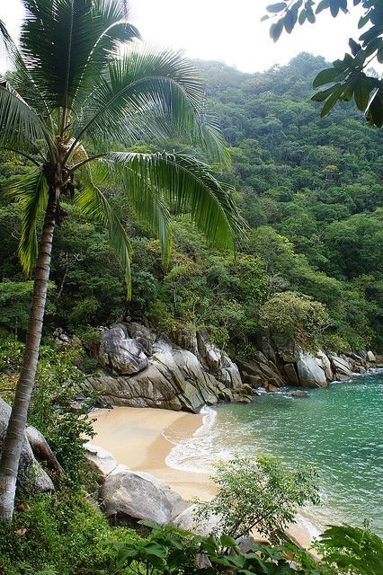 Bahía De Banderas, Jalisco, Mexico