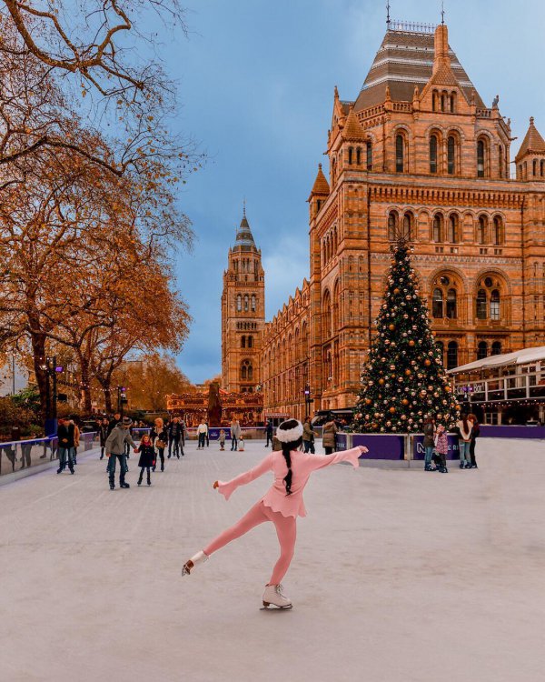 winter, urban area, tree, ice rink, tourist attraction,