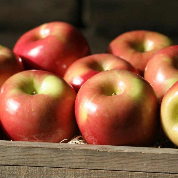 Frozen Apples and Pears