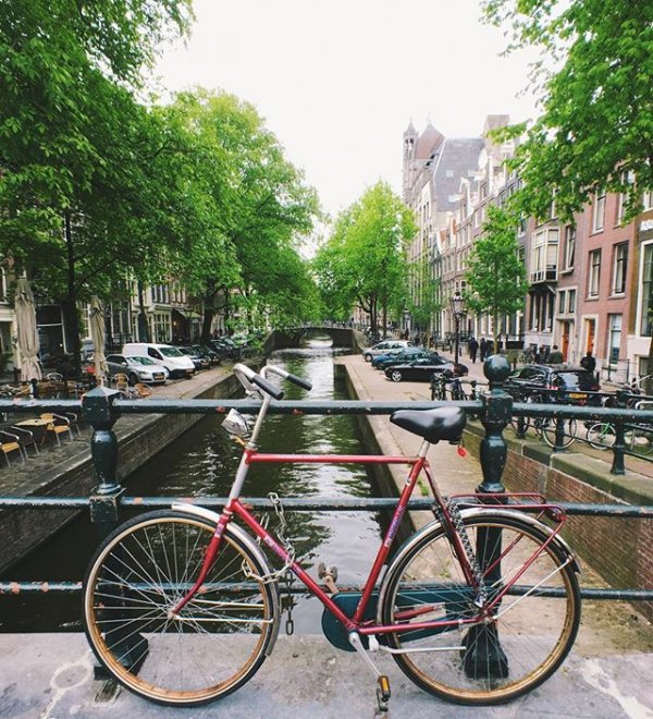 bicycle, cycling, vehicle, snapshot, waterway,