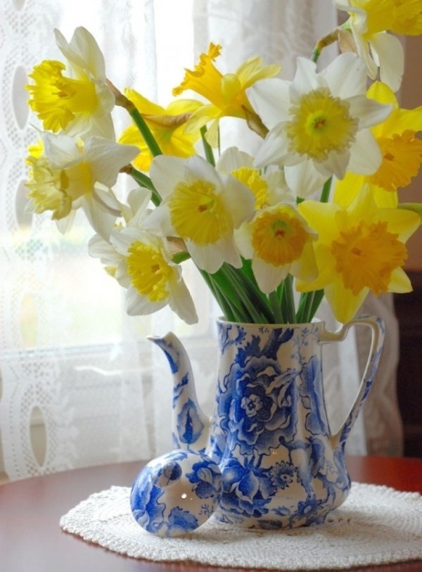 Daffodils