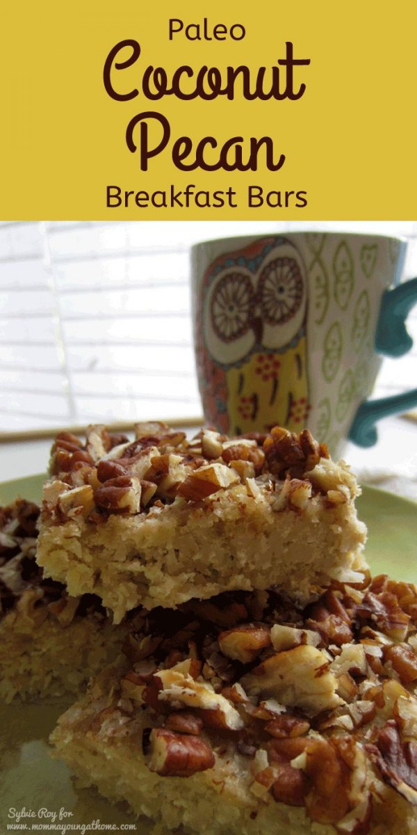 Coconut Pecan Breakfast Bars