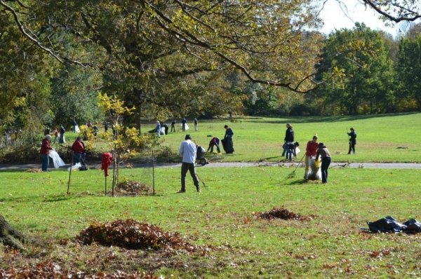 Park Clean up