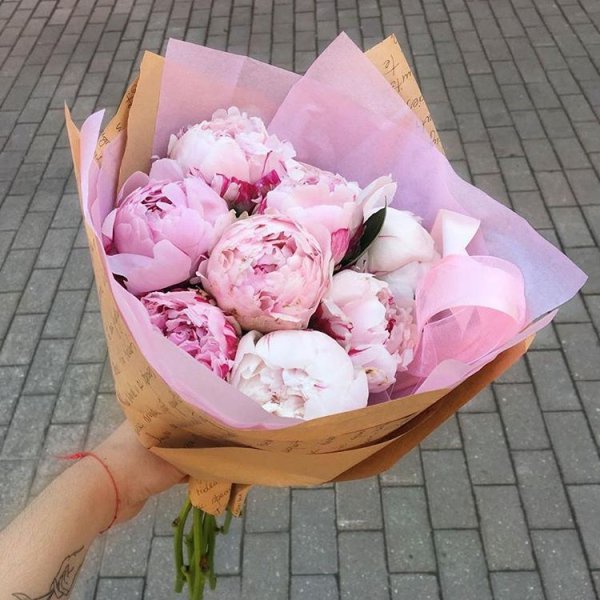 flower, pink, flower bouquet, plant, peony,