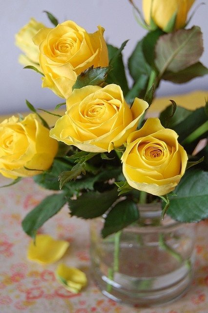 Yellow Roses