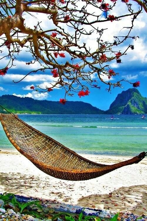 Hammock