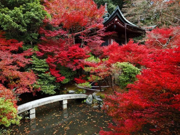 Kyoto, Japan