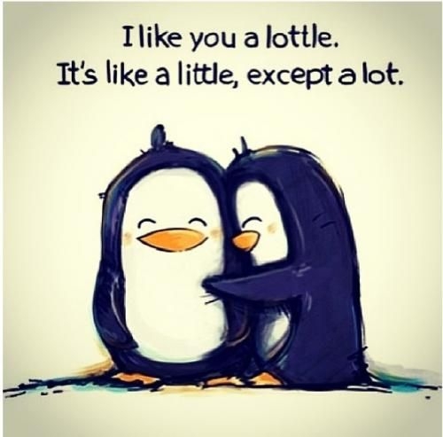 Lottle