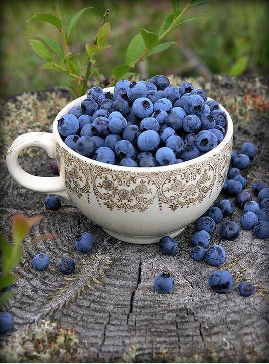 Blueberries