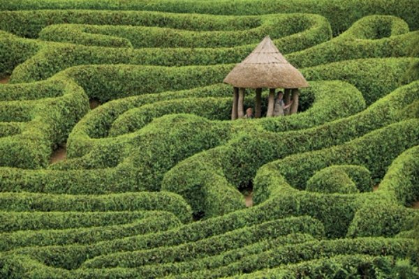 Glendurgan Maze in England