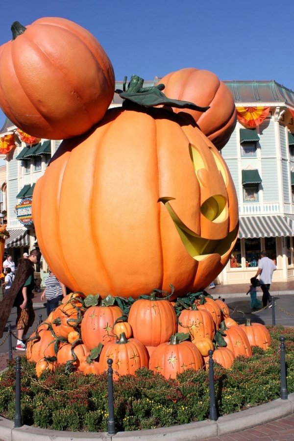 Amazing Disneyland Jack O Lanterns