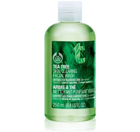 Mini Tea Tree Skin Clearing Facial Wash