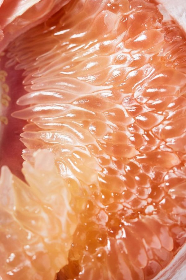 Peach, Pink, Orange, Grapefruit, Close-up,