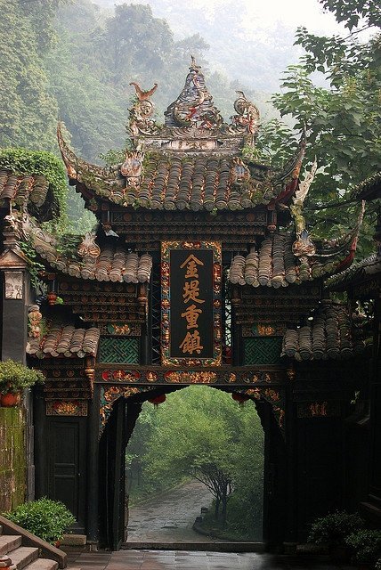 See the Pandas at Chengdu, China