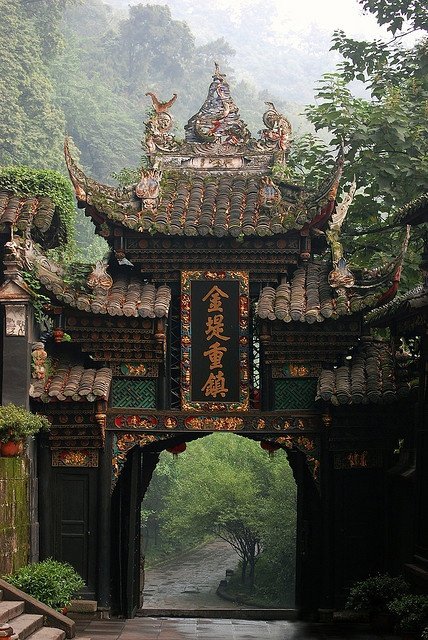 See the Pandas at Chengdu, China