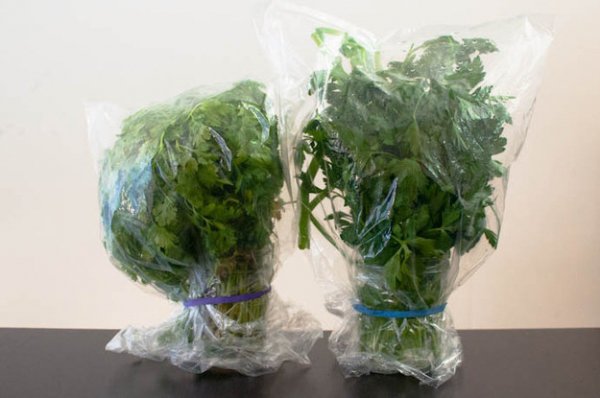 To Store Delicate Herbs, Place Them in Cups of Water, Cover Them with Plastic Wrap, Secure with a Rubber Band, and Refrigerate