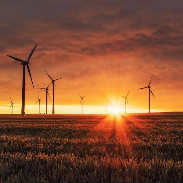 wind farm, windmill, wind turbine, horizon, sunrise,