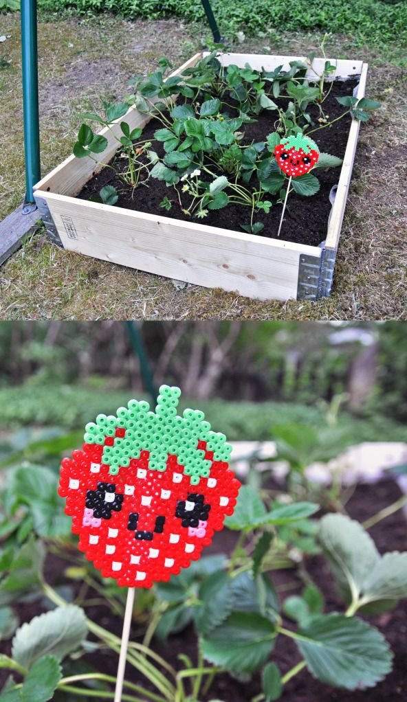 Strawberry Garden Stick