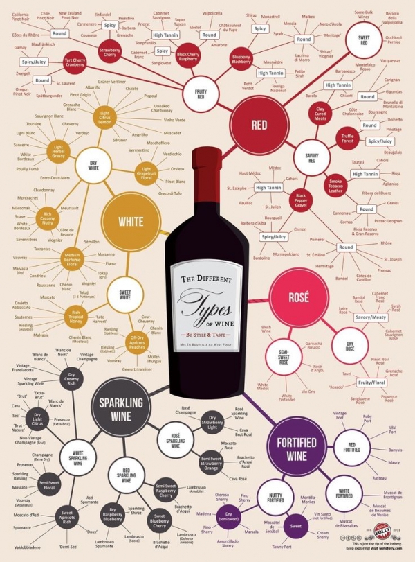 The Difference Types of Wine