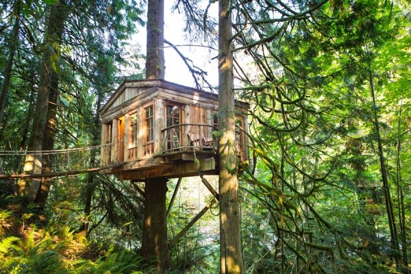 Treehouse Point