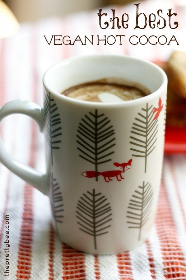 The Best Vegan Hot Cocoa