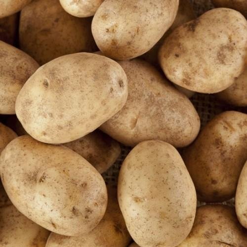 Russet Potatoes