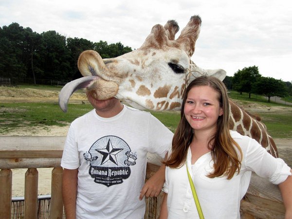 Giraffe to do That Every Time We Try to Take a Photo?