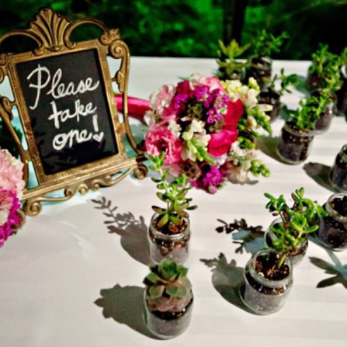 Succulent Wedding Favor Bottles