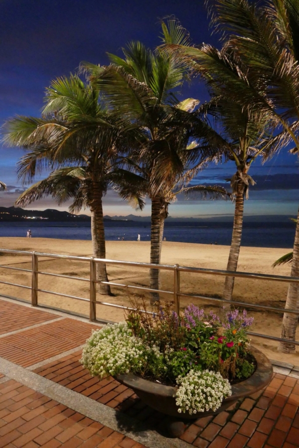 Playa De Las Canteras, Las Palmas De Gran Canaria