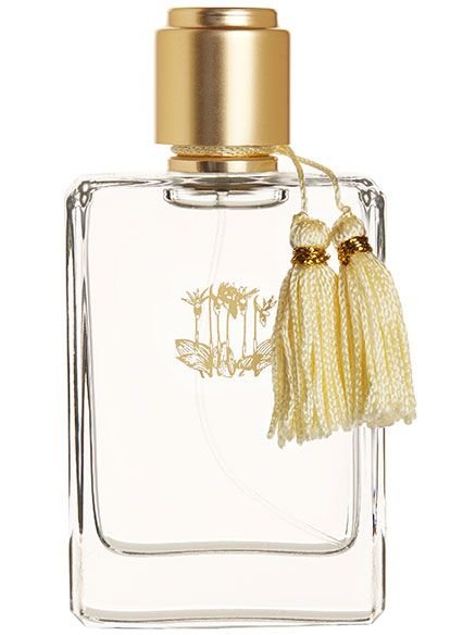 Mimosa Eau De Parfum by Calypso St. Barth