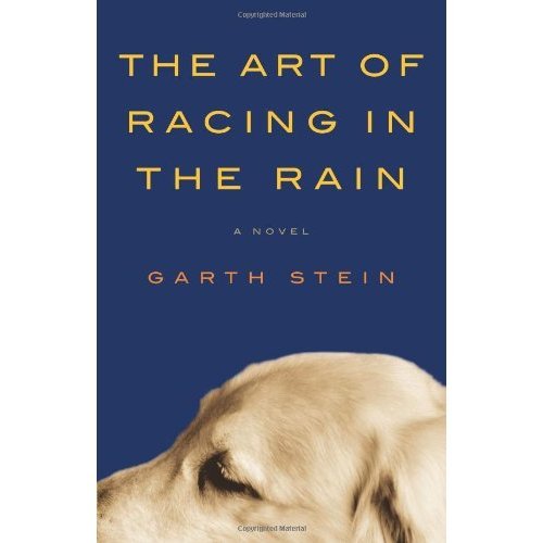 The Art of Racing in the Rain by Garth Stein