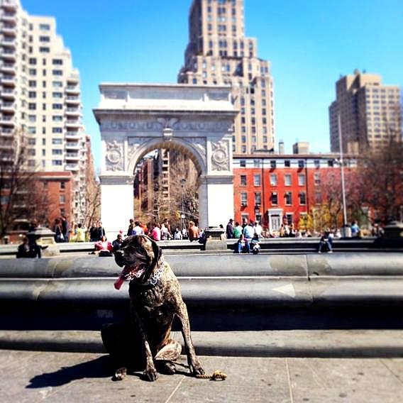 Waste the Whole Day Away in Washington Square Park