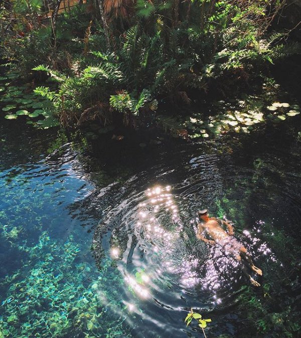 water, river, rainforest, spring, tree,