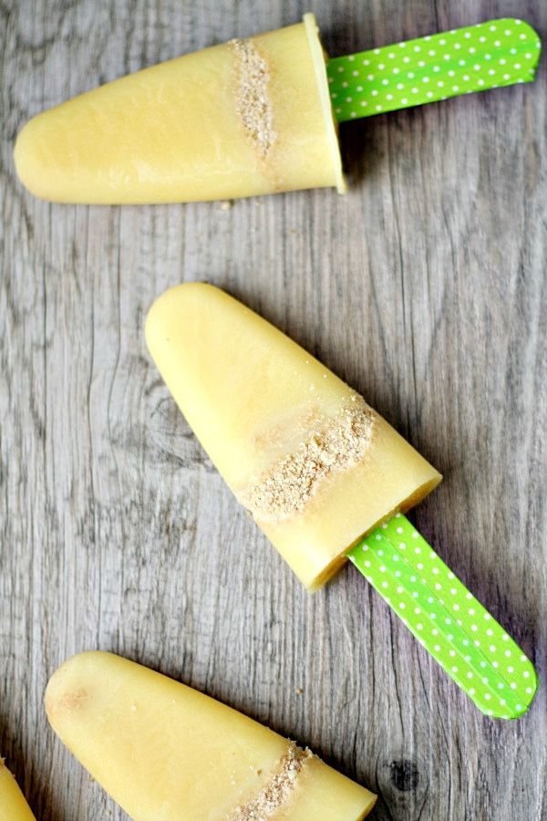 CHOCOLATE CHIP COOKIE DOUGH PUDDING POPS