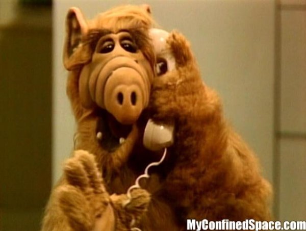 You Loved Alf and Screech