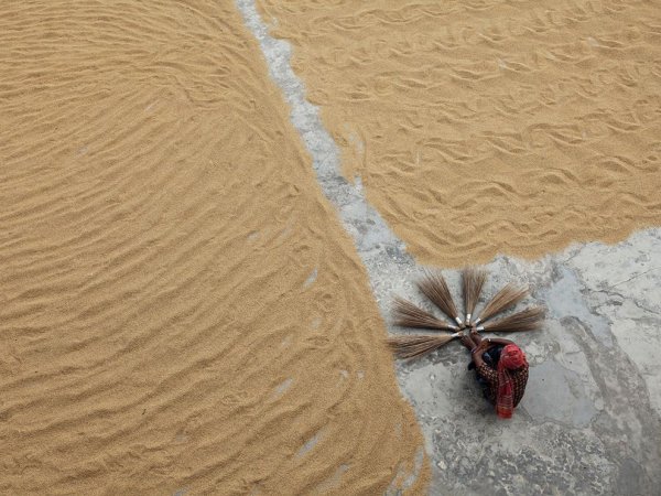 Rice Mill by Pronob Ghosh