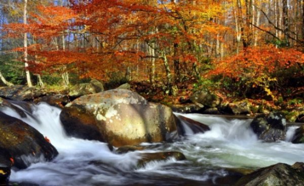 Great Smoky Mountains National Park, Tennessee